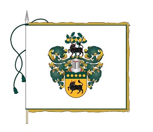 Čatrausko reprezentacinė herbinė vėliava